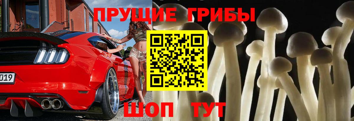 Галлюциногенные грибы мухоморы Каменка