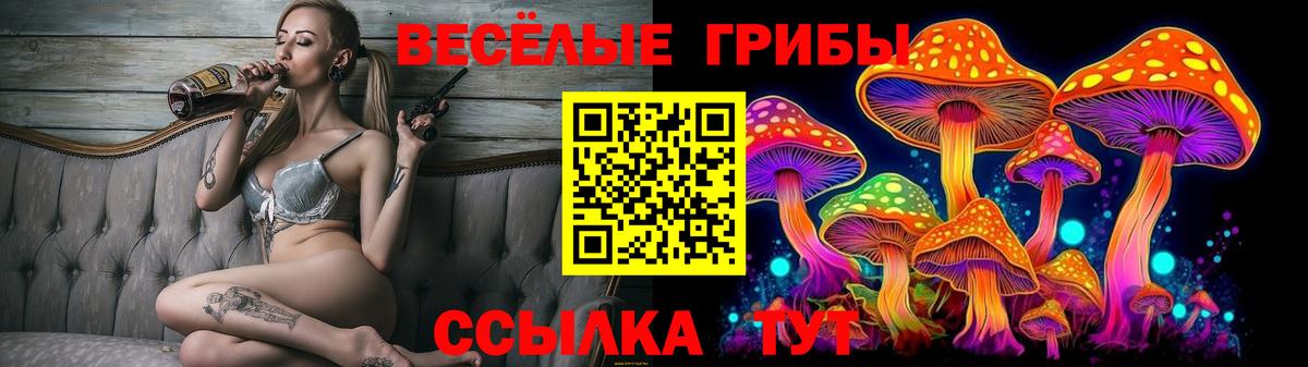 Псилоцибиновые грибы мицелий  Вход с VPN  Каменка 